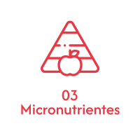 Enziforte-02