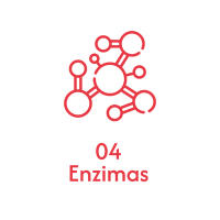 Enziforte_Mesa de trabajo 1