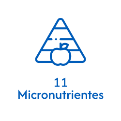 IconosP-02